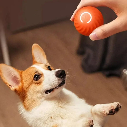 RollBot — Automatic Rolling Dog Ball Toy