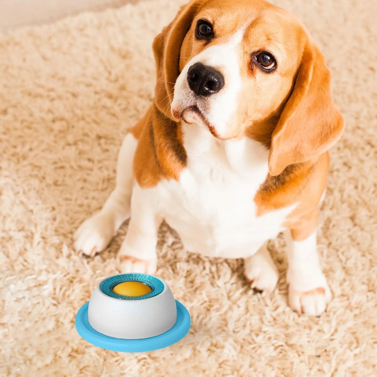 SpinLick — Interactive Slow Feeder & Lick Mat