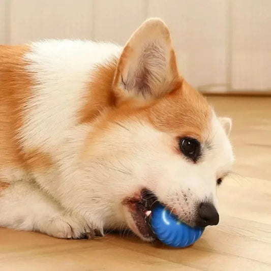RollBot — Automatic Rolling Dog Ball Toy