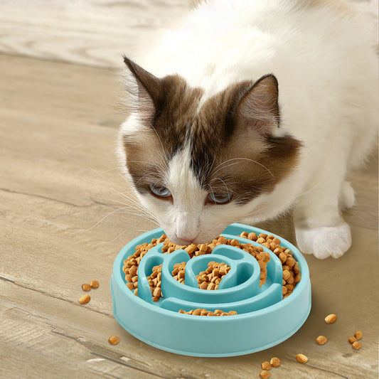 Slow Food Bowl