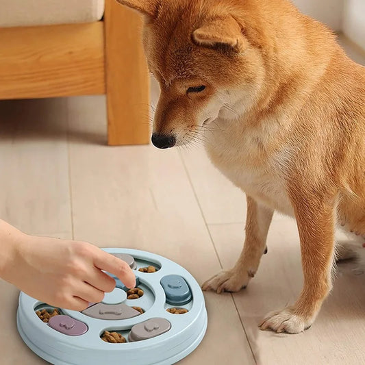 Treat dog toy